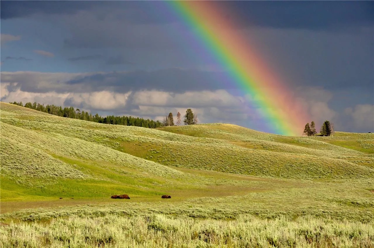 Genesis 9 - God's Covenant with Noah and Humankind